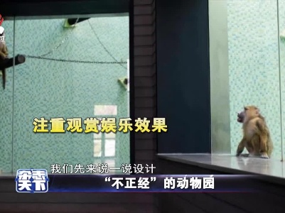 “不正经”的动物园