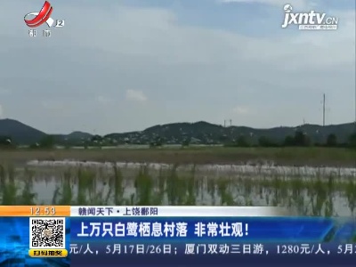 都市60分20210516