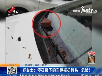 【一追到底·声音】吉安·罗女士：停在楼下的车辆被扔砖头 危险！