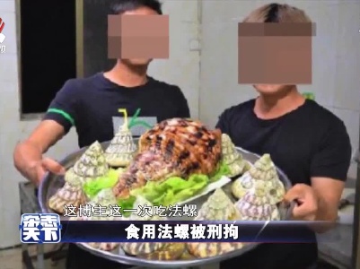 食用法螺被刑拘