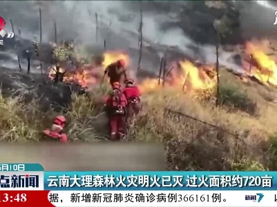 云南大理森林火灾明火已灭 过火面积约720亩
