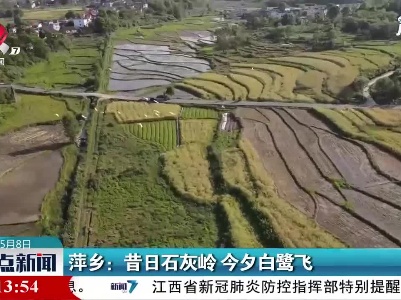 整点新闻20210508 10:00