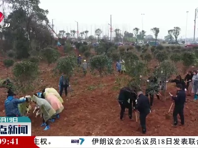 江西累计发放天然林保护补助资金40.5亿元