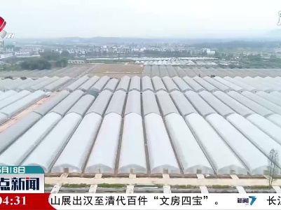 整点新闻20210518 16:00