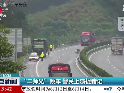 “二师兄”跳车 警民上演捉猪记