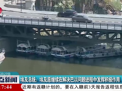 埃及总统：埃及愿继续在解决巴以问题进程中发挥积极作用