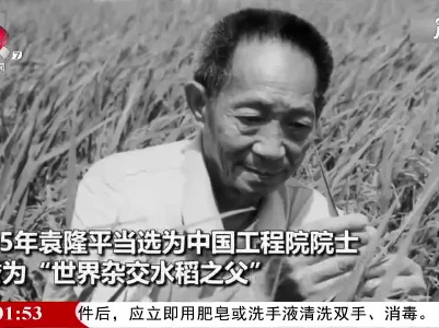 缅怀 国之脊梁