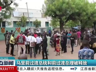 马里前过渡总统和前过渡总理被释放