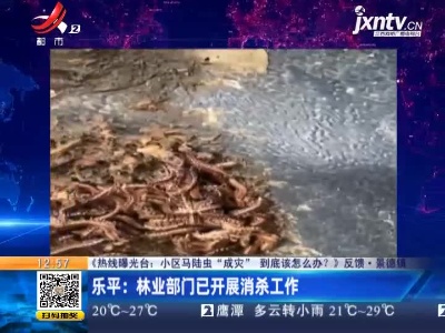 【《热线曝光台：小区马陆虫“成灾”到底该怎么办？》反馈】景德镇·乐平：林业部门已开展消杀工作
