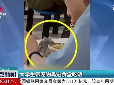 福建：大学生带宠物鸟进食堂吃饭