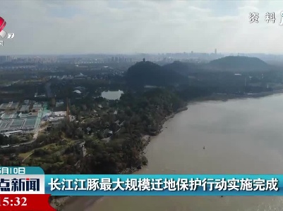 长江江豚最大规模迁地保护行动实施完成