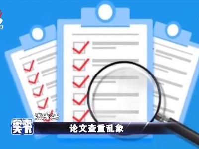 论文查重乱象