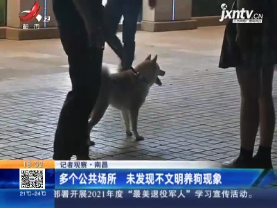 【记者观察】南昌：多个公共场所 未发现不文明养狗现象