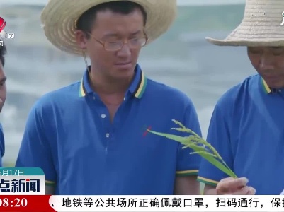 萍乡：真金实银打造“制种大市”