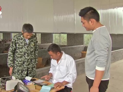 【奋斗百年路 启航新征程·同心奔小康】崇仁：“三方”一盘棋 解“鸡”遇之困