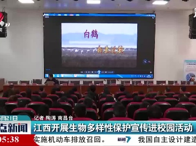 整点新闻20210521 12:00