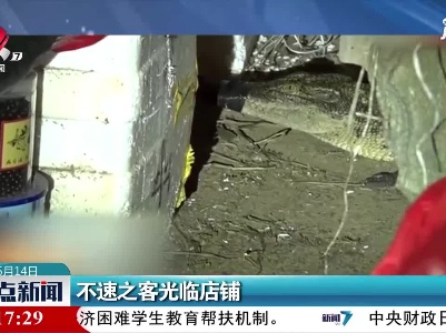 广东：不速之客光临店铺