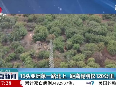 15头亚洲象一路北上 距离昆明仅120公里