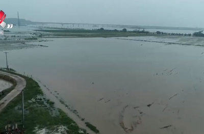 丰城：持续降雨 农作物受灾严重
