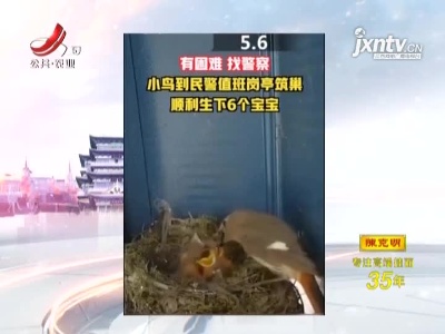 【有困难找警察！】湖北：这位“妈妈”在岗亭顺利生下6个宝宝