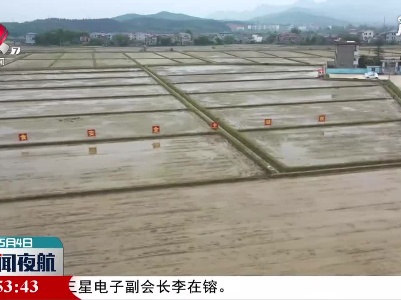 2021年江西省级救灾备荒种子储备申报开启