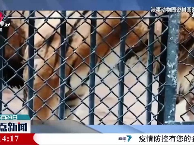 官方回应饲养员被老虎袭击身亡：隔离门未锁好