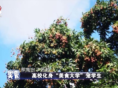 高校化身“美食大学”宠学生