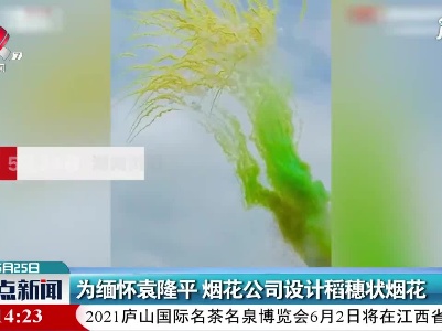 湖南：为缅怀袁隆平 烟花公司设计稻穗状烟花