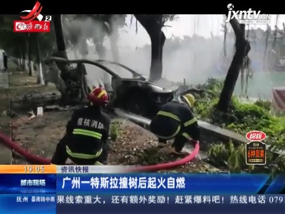 广州一特斯拉撞树后起火自燃