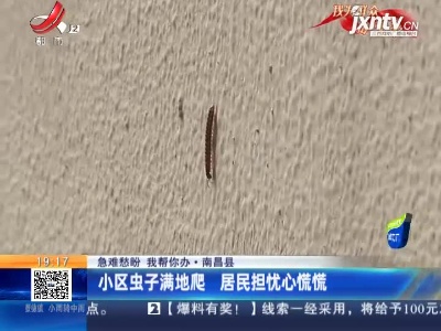 【急难愁盼 我帮你办】南昌县：小区虫子满地爬 居民担忧心慌慌