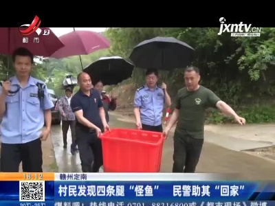 赣州定南：村民发现四条腿“怪鱼” 民警助其“回家”