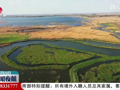 新疆玛纳斯湿地：鱼类增殖放流 维持湿地生态平衡