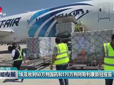 埃及收到50万剂国药和170万剂阿斯利康新冠疫苗