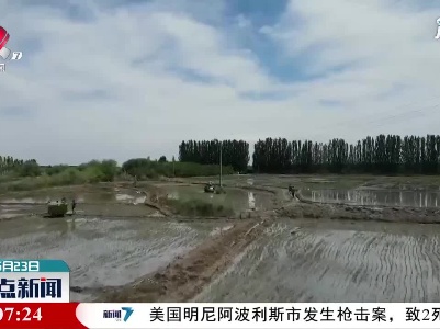 新疆温宿：天山脚下忙插秧