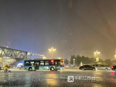 南昌5条公交线路因积水临时调整 其他线路均恢复正常