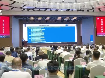 中国新型工业化与城镇化发展论坛在宜春举行