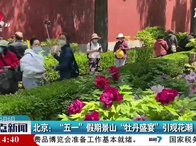 北京：“五一”假期景山‘牡丹盛宴“引观花潮