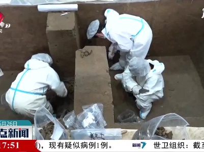 23家高校、科研机构共同“解码”三星堆遗址