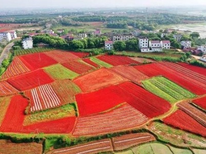 红土地描绘壮美图景