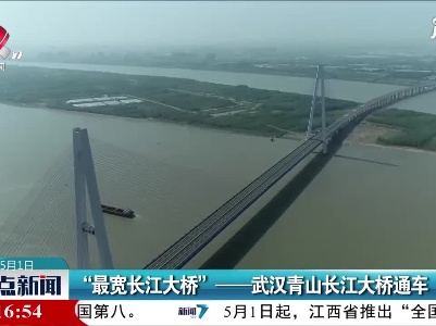 “最宽长江大桥”——武汉青山长江大桥通车