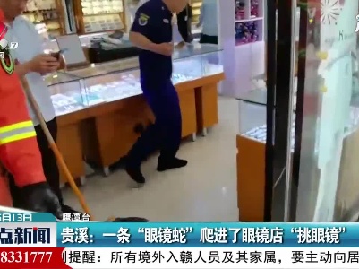 贵溪：一条“眼镜蛇”爬进了眼镜店“挑眼镜”