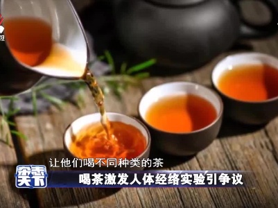 喝茶激发人体经络实验引争议