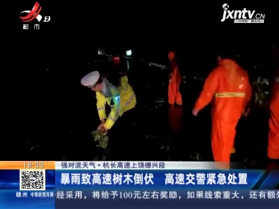 【强对流天气】杭长高速上饶德兴段：暴雨致高速树木倒伏 高速交警紧急处置