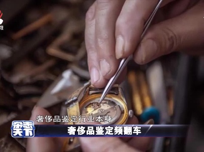 奢侈品鉴定频翻车