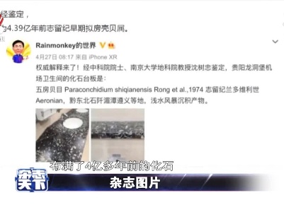 贵阳机场洗手池 竟布满4亿多年的化石