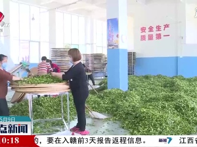 九江：春茶飘香 产销两旺