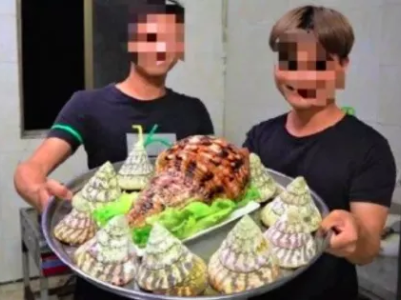不能吃！食用二级保护动物“法螺” 美食博主被刑拘