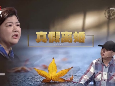 男子假离婚净身出户 前妻却成了他口中的诈骗犯