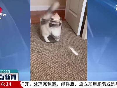 容器什么样 它就什么样