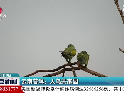 云南普洱：人鸟共家园